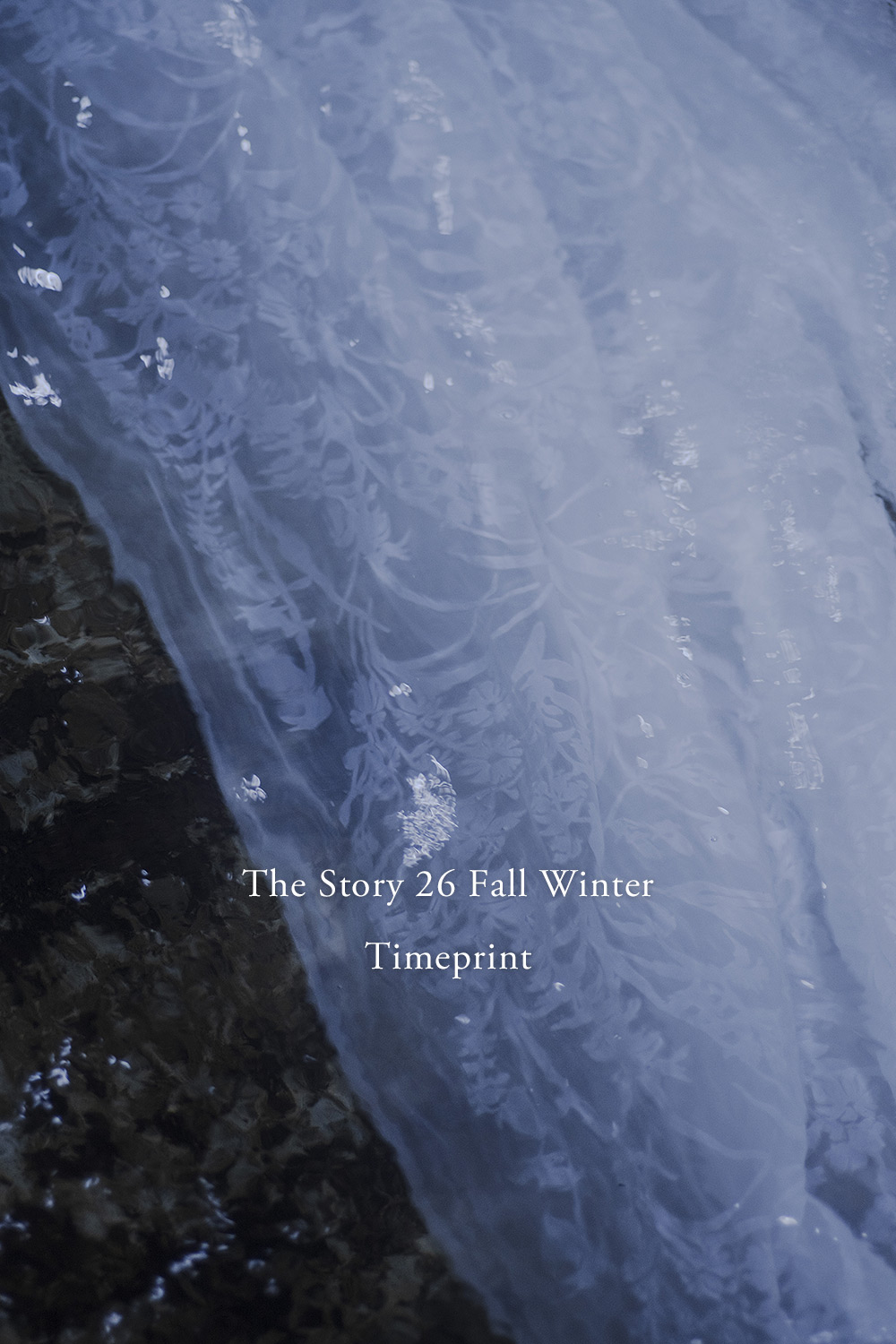 THE STORY